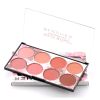 8 Colors Blush Palette Matte Mineral Blush Powder Bright Shimmer Face Blush Contour and Highlight Blush Palette Professional Facial Beauty Cosmetic Ma